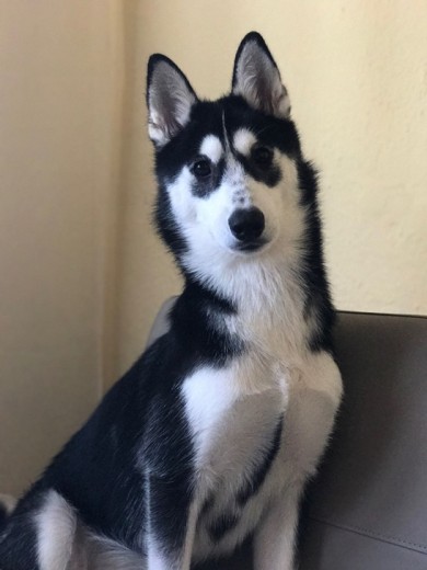 Rhea.
5 meses y 17 días. Rhea.
5 meses y 17 días.